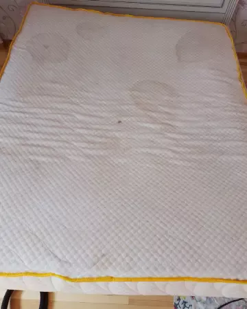 Persistent urine odor and deep yellow soil on the mattress fabric