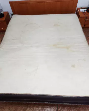 General fabric soil and stains requiring professional intervention